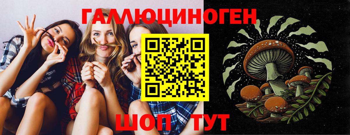Усолье-Сибирское  Галлюциногенные грибы Magic Shrooms  Вход с VPN  Псилоцибиновые грибы Psilocybe 