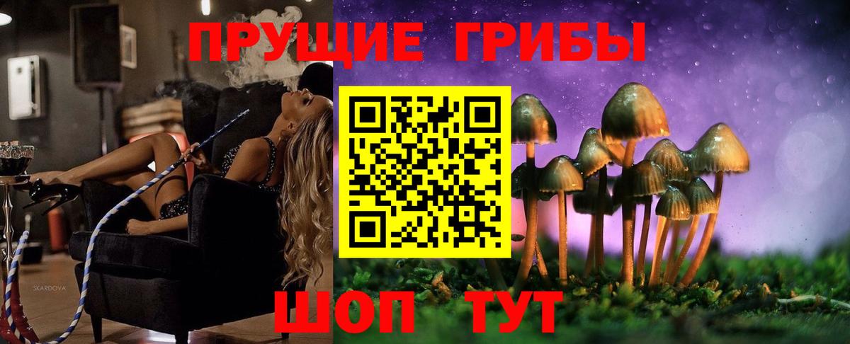 Галлюциногенные грибы GOLDEN TEACHER Усолье-Сибирское